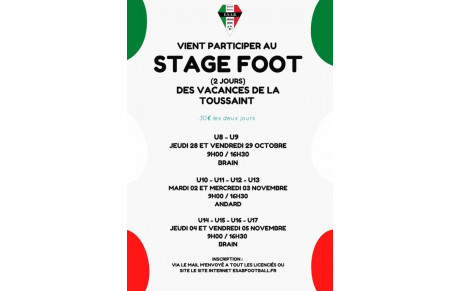 Stage Foot de la Toussaint 